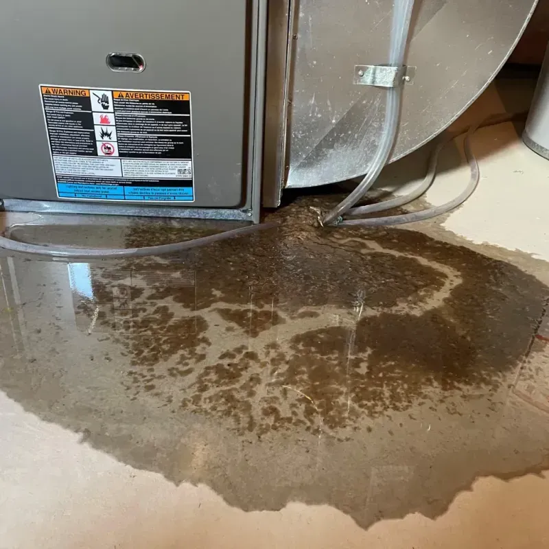 Appliance Leak Cleanup in Gainesville, MO